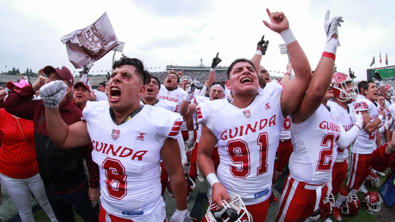 Águilas Blancas logra pase a la final de ONEFA al vencer a Pumas UNAM ESPN Águilas Blancas logra pase a la final de ONEFA al vencer a Pumas UNAM ESPN