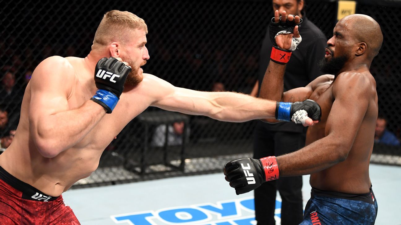 Image result for corey anderson loses to jan blachowicz