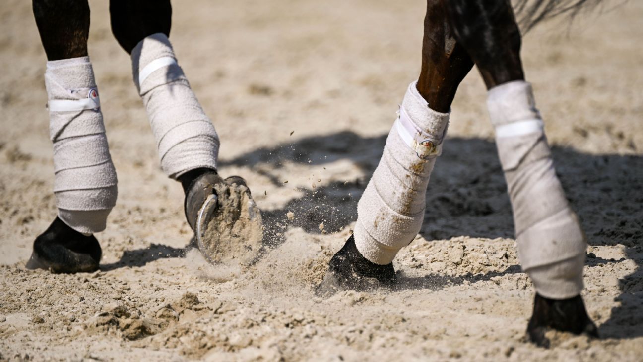 Filly Bold and Bossy escapes racetrack, runs onto Kentucky highway