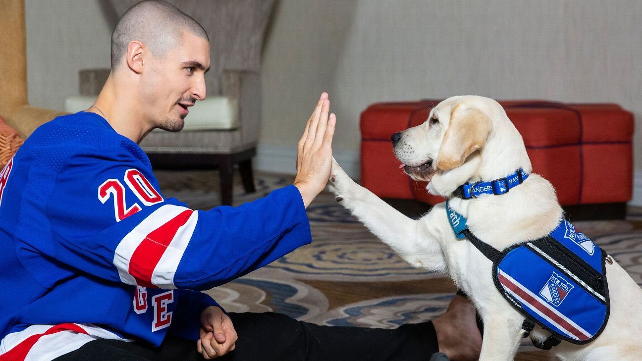 Hockey Team's New Service Dog In Training Will Melt Your Heart!