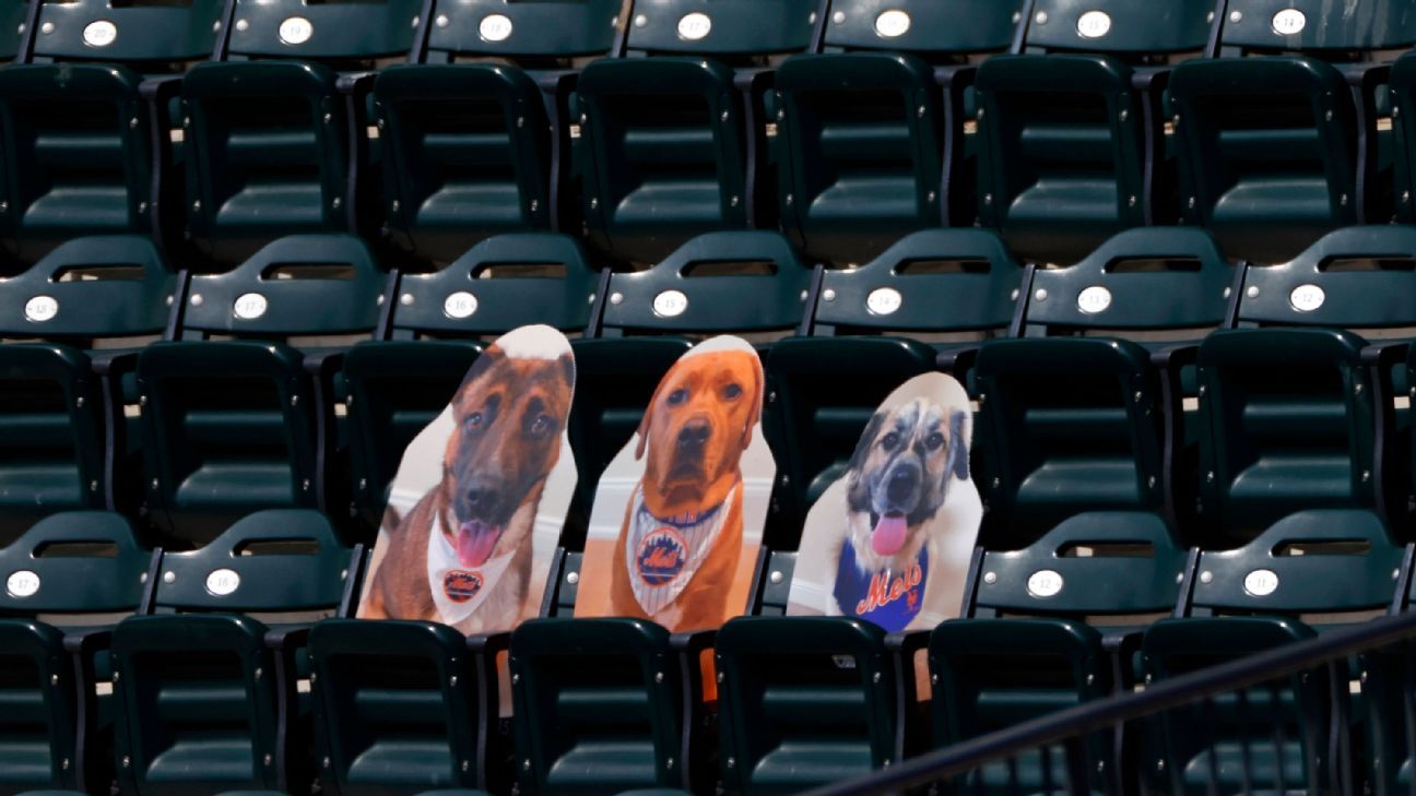 Mets star Jeff McNeil's dog got his home run ball