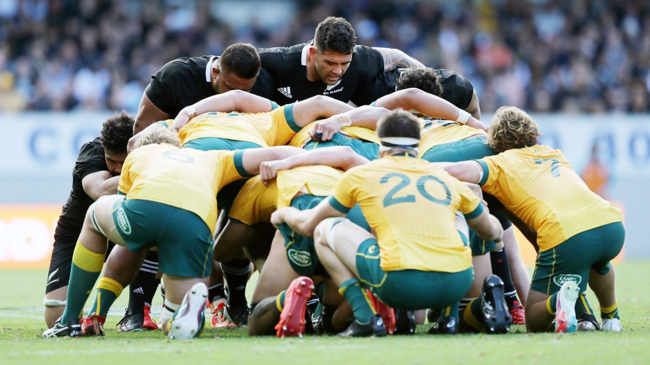 Bledisloe Cup Picking apart the All Blacks and Wallabies ...