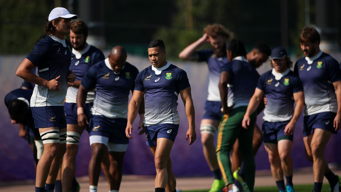 Springboks introduce training camps in preparation for British & Irish