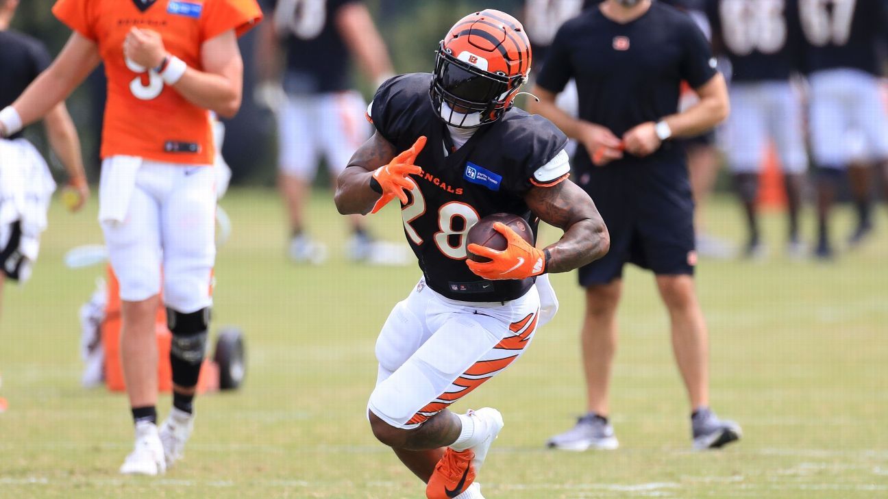 Joe Mixon ready for more in Bengals' new offense - ESPN - Cincinnati Bengals  Blog- ESPN