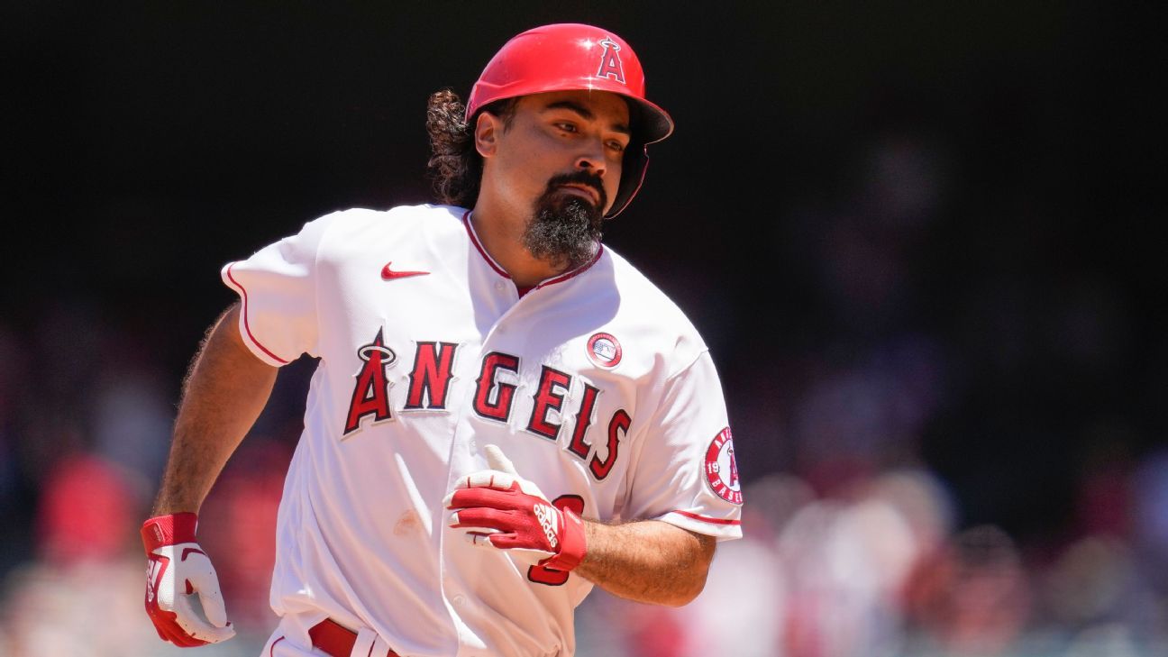 Anthony Rendon grabs hold of MLB fan's jersey and attempts to slap