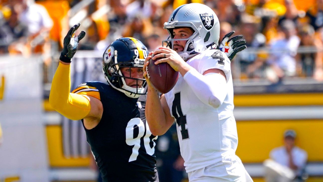 Injury sidelines Steelers' Watt - The Iola Register