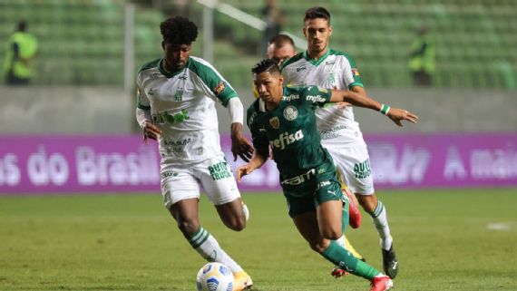 ENQUETE: O Palmeiras merece brigar pelo título do brasileirão?