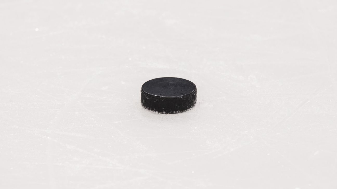 London Knights player Abakar Kazbekov falls to death