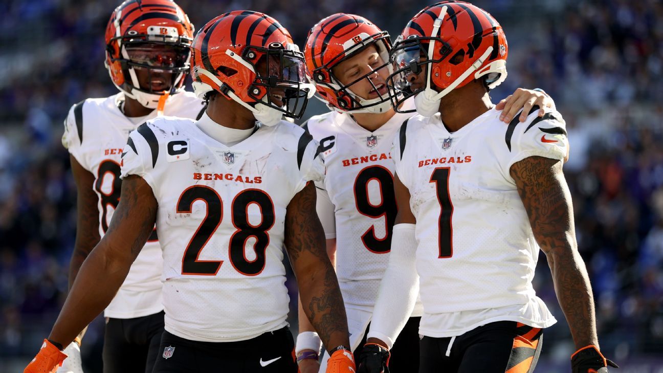 Ravens vs Bengals Fantasy Football Worksheet, Week 18