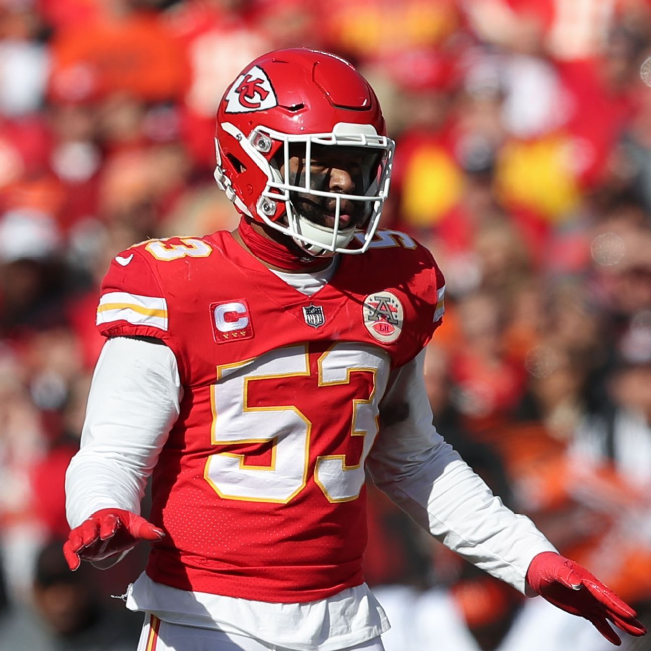 Kansas City Chiefs release linebacker Anthony Hitchens - ESPN