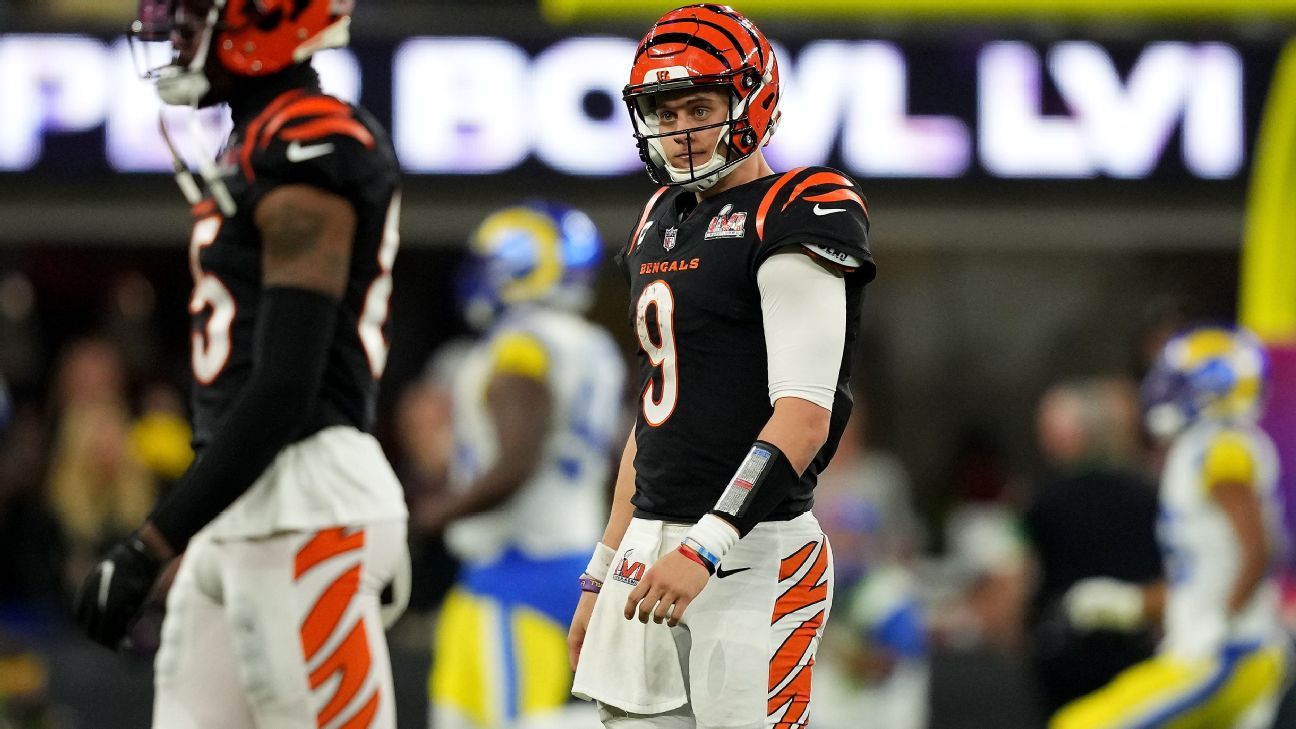 As Cincinnati Bengals enter free agency, Joe Burrow's voice becomes more  influential - ESPN - Cincinnati Bengals Blog- ESPN