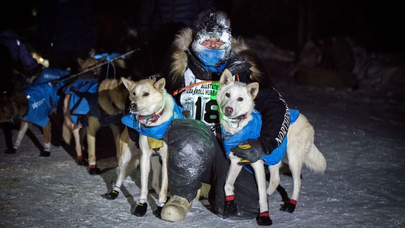 how many dogs have died in the iditarod 2018