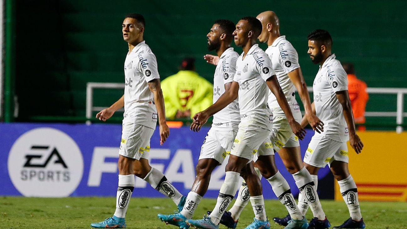 Santos só voltará a jogar na estreia na Copa Sul-Americana, em abril -  Diário do Peixe