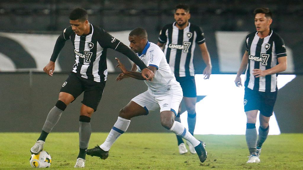 Botafogo é castigado pela 'lei do ex', perde para o Avaí no Nilton ...