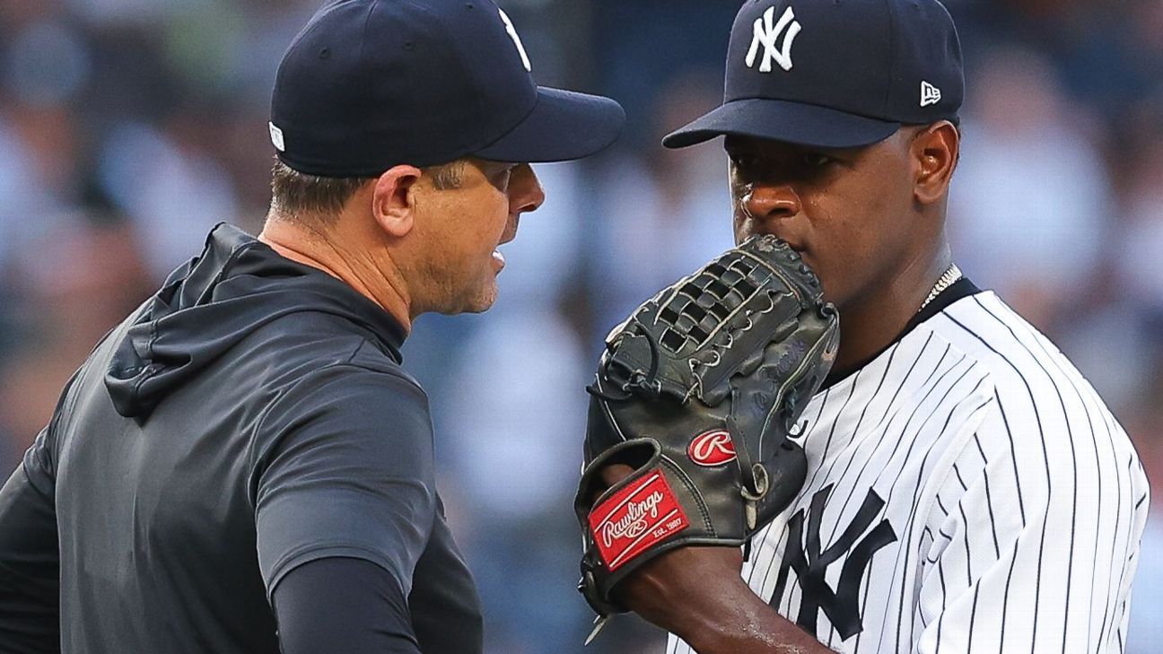 Fanatics Authentic Luis Severino New York Yankees Game-Used #40 Gray Jersey vs. Houston Astros on June 30 2022