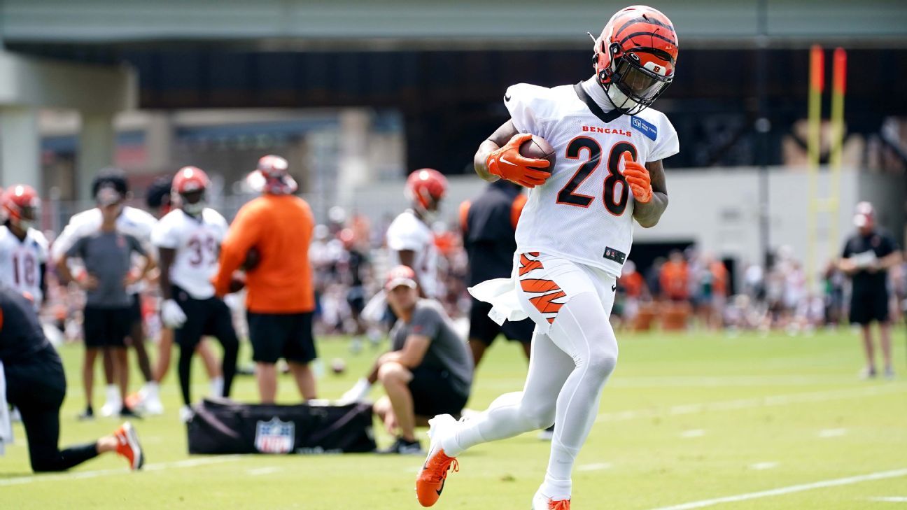 Fantasy Football Nuggets From Training Camp — Part II