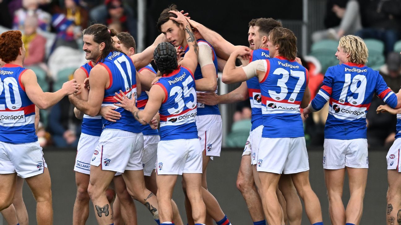 AFL Round 23 Bulldogs beat Hawks, keep finals hopes alive ESPN