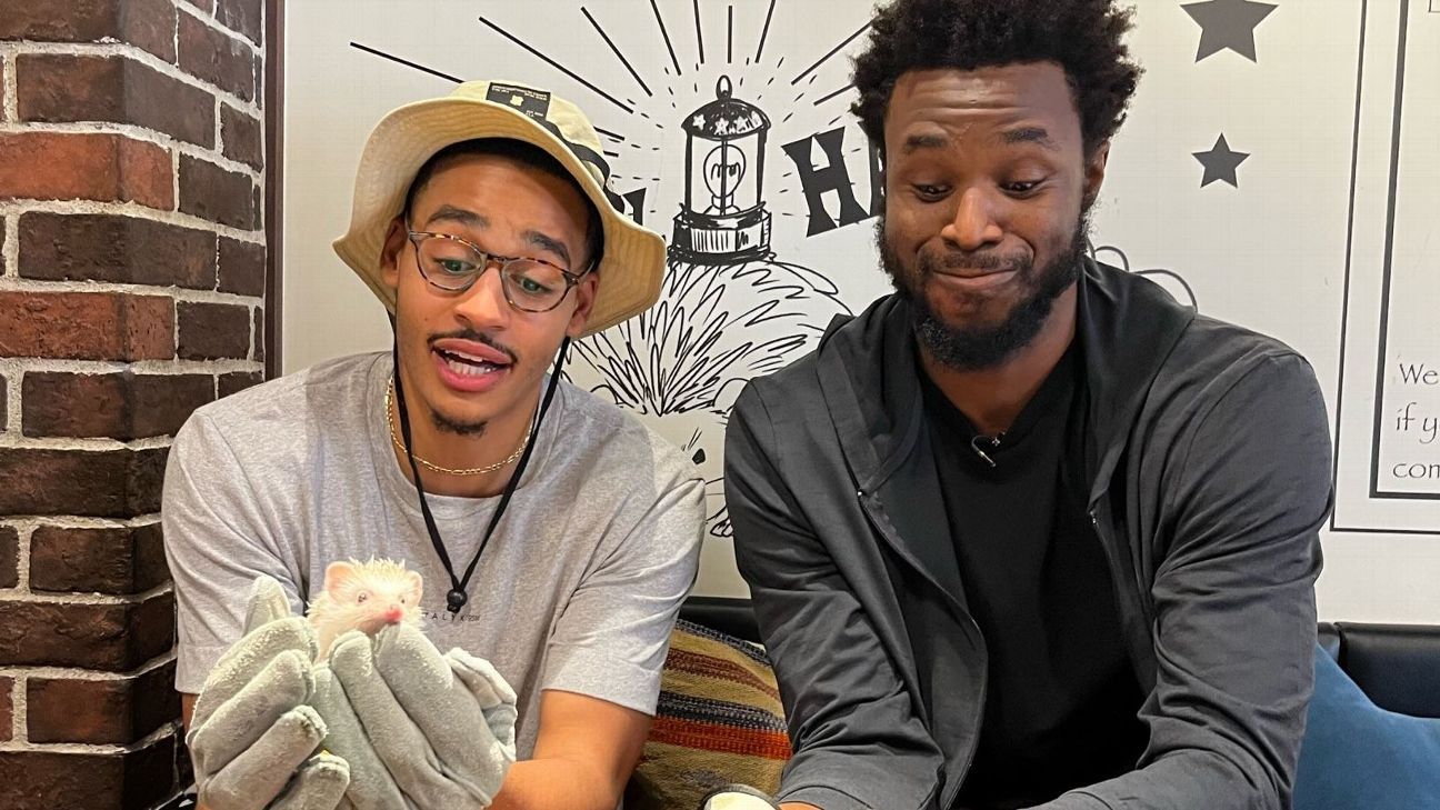 Golden State Warriors visit hedgehog café, sneaker shop and show off their skill..