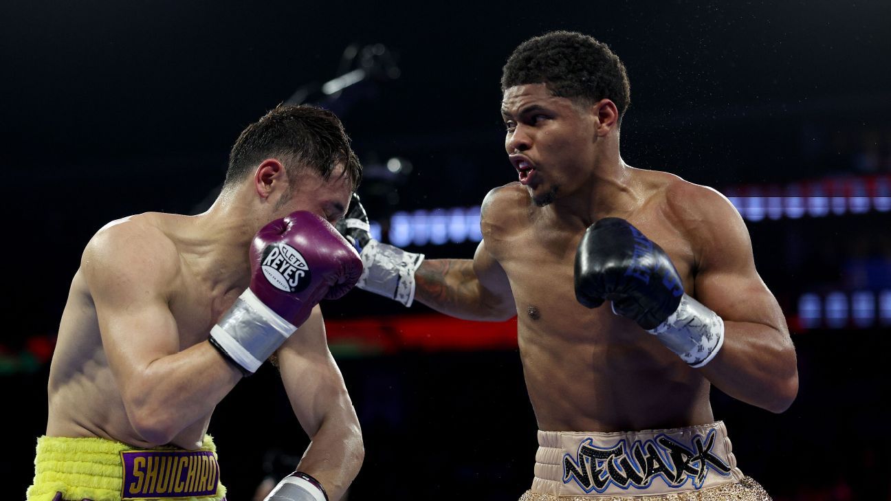 Shakur stevenson vs de los santos