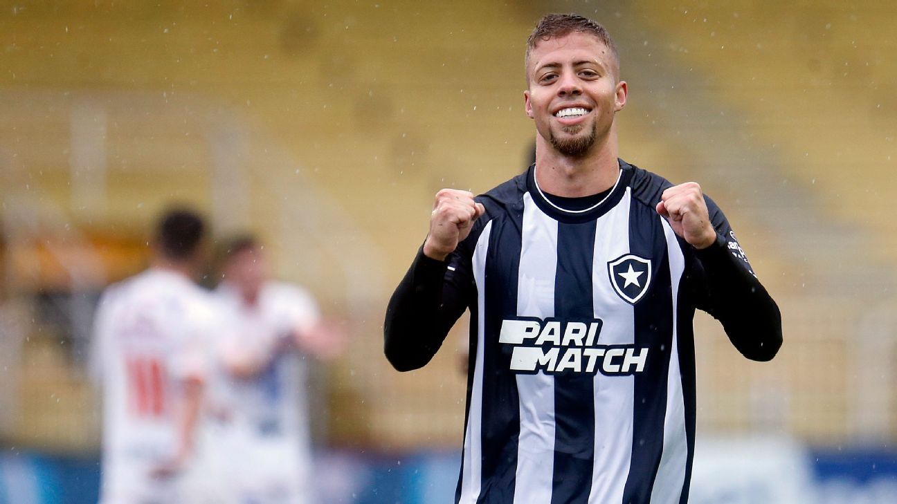 Botafogo conquista a Taça Rio e garante vaga na Copa do Brasil 2024 ESPN