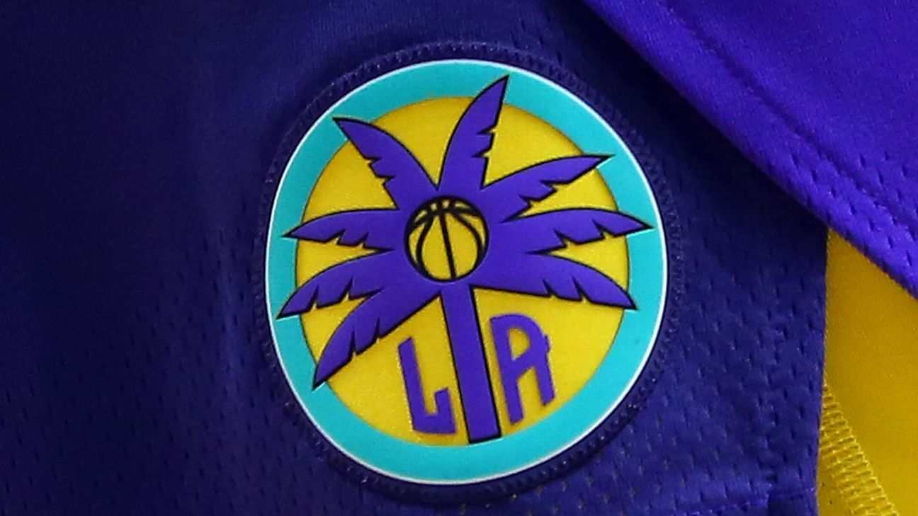 La Sparks Logo  Sparks logo, Wnba, Logo basketball