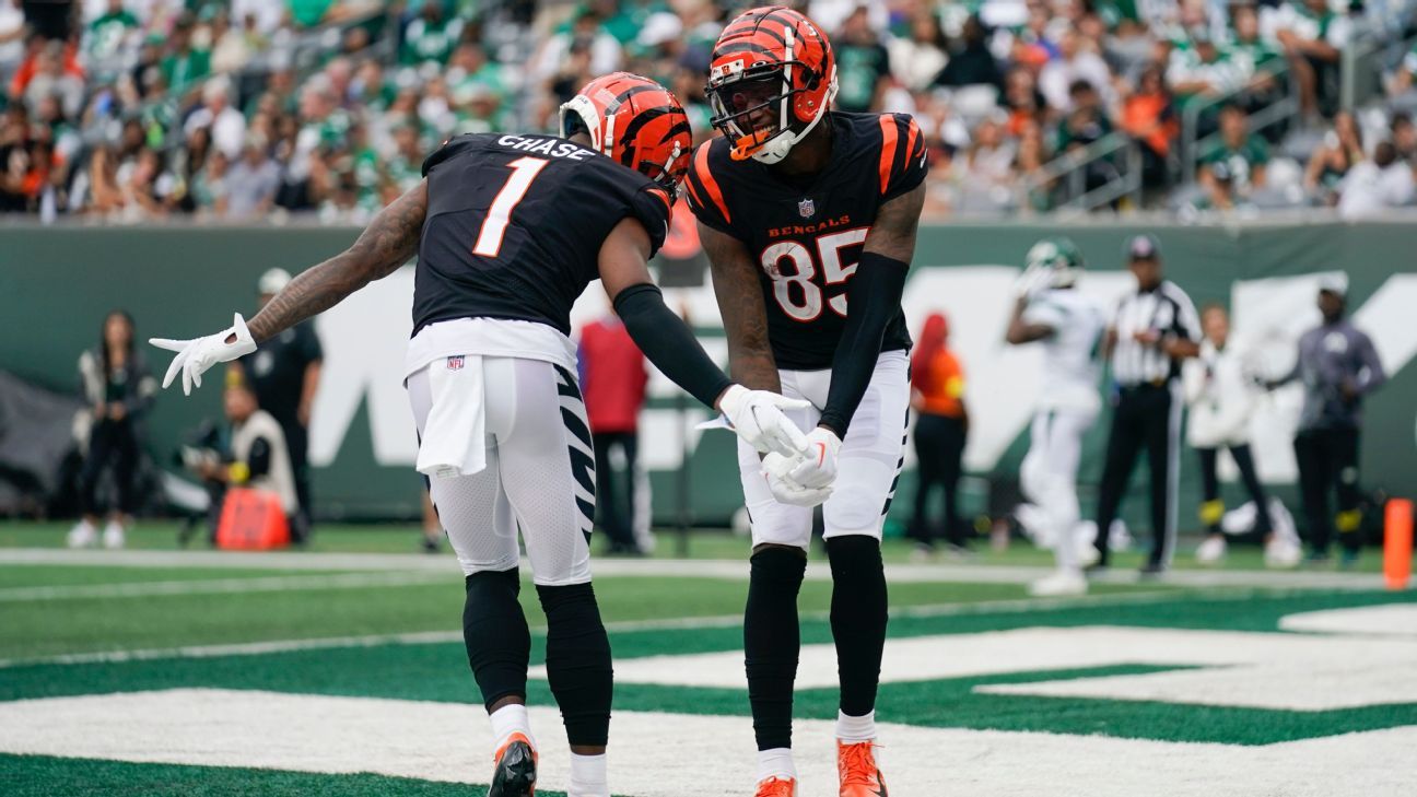 Bengals WR Tee Higgins, DE Sam Hubbard out for Sunday's game, WR