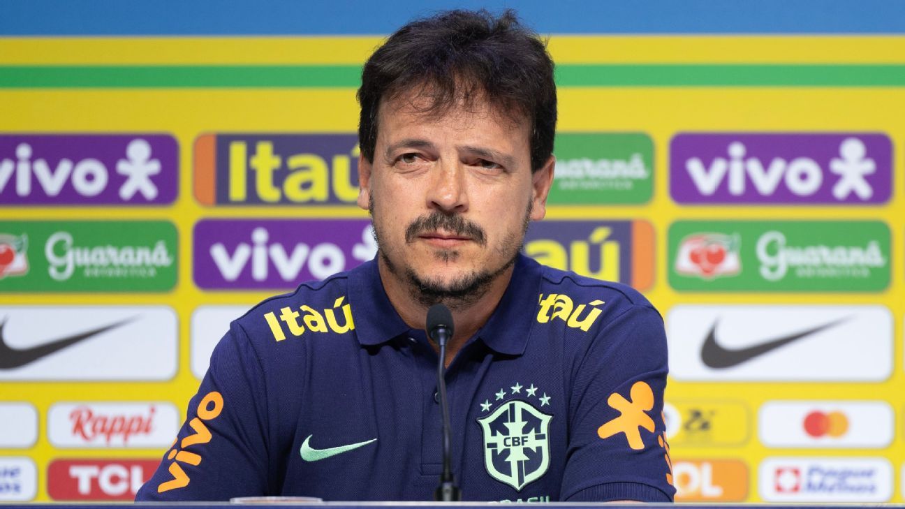 Diniz será o novo técnico-interino da seleção brasileira de futebol -  Cinform Online