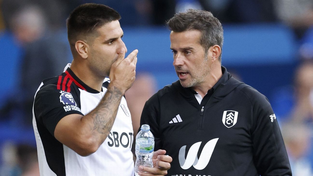 Fulham boss Marco Silva: We are really an ambitious football club