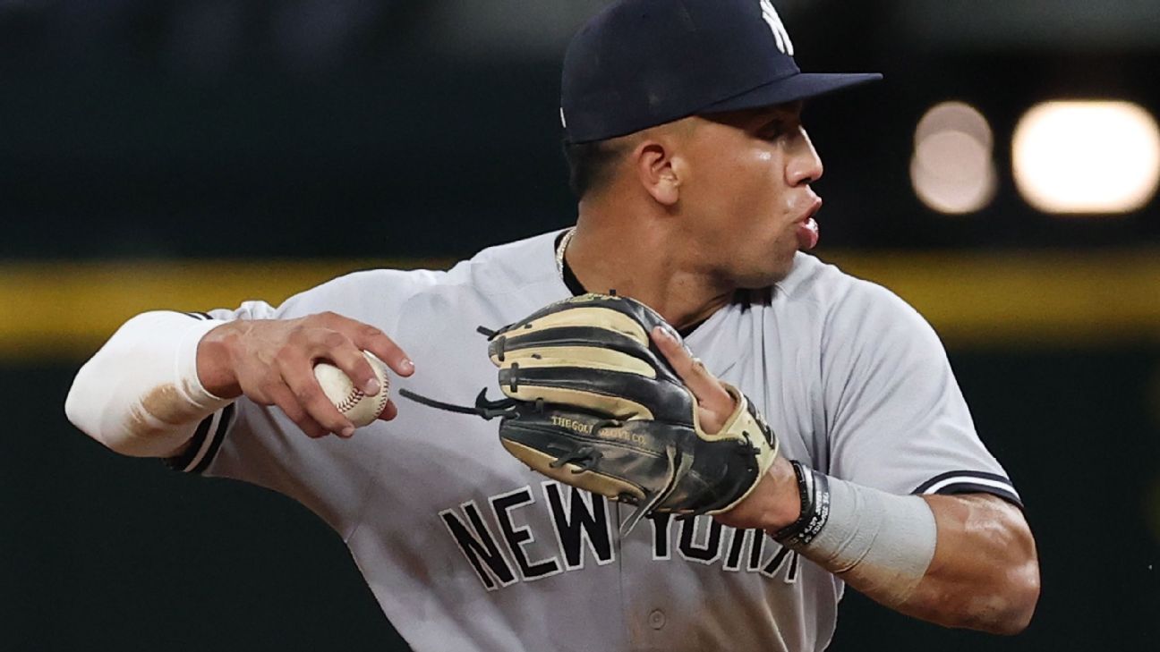 Aaron Boone relates with prospect Oswald Peraza