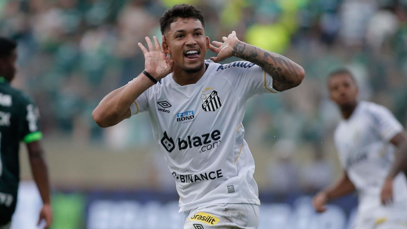 Santos vira, ganha fôlego na briga contra o rebaixamento e deixa Palmeiras longe da luta pelo título