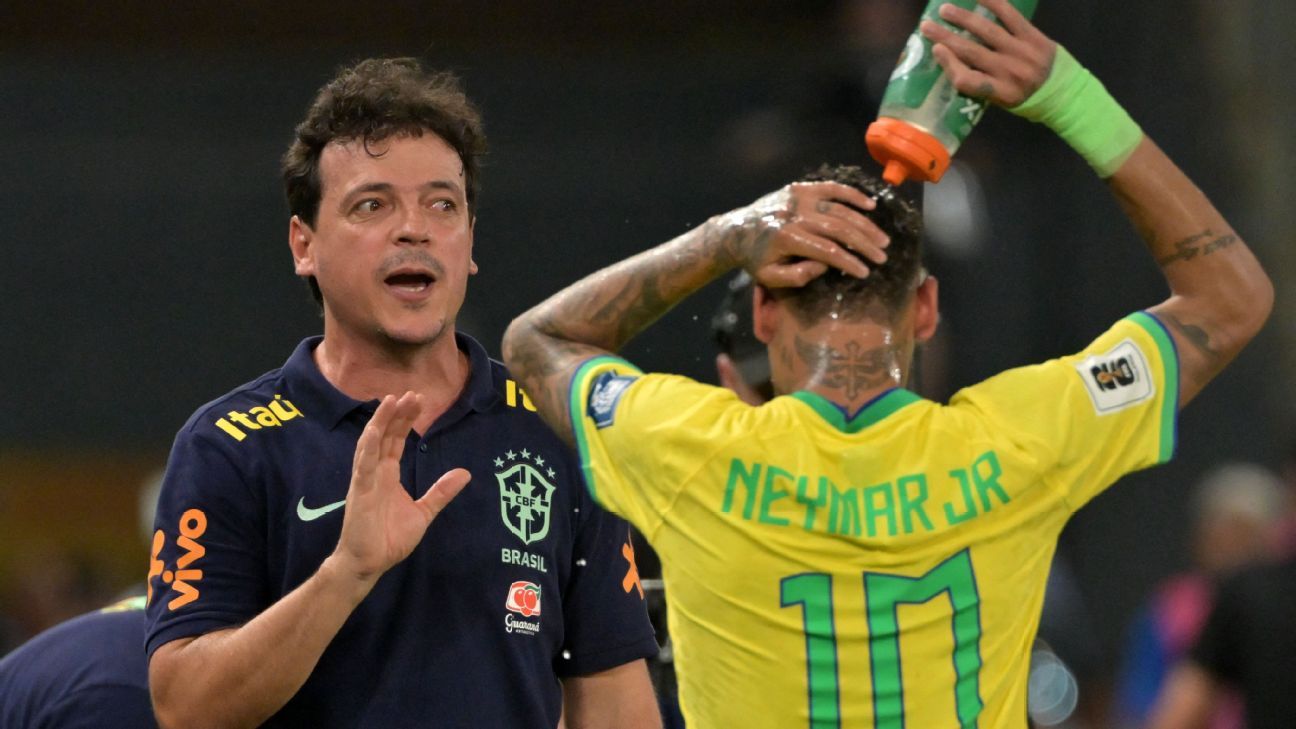 Brazil fire coach Diniz after Ancelotti's snub