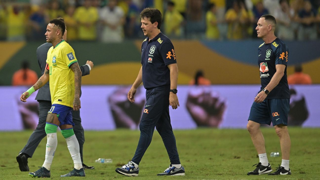 Coach Fernando Diniz calls up Brazil squad for qualifying matches