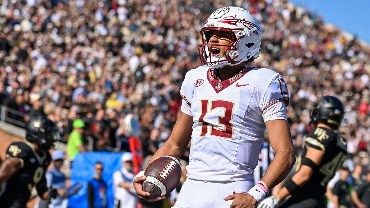 Louisville Cardinals Clear Sideline Purse