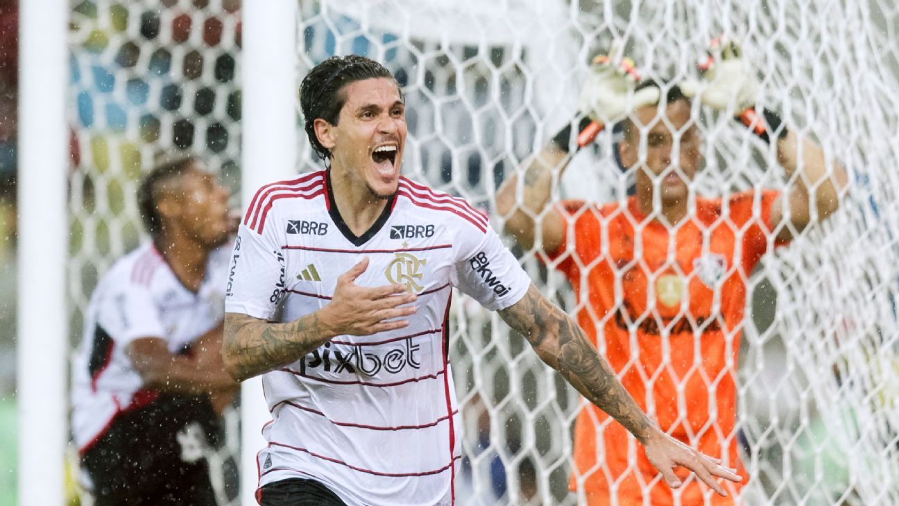 Flamengo impressiona e projeção aponta muitos gols de Pedro em 2024