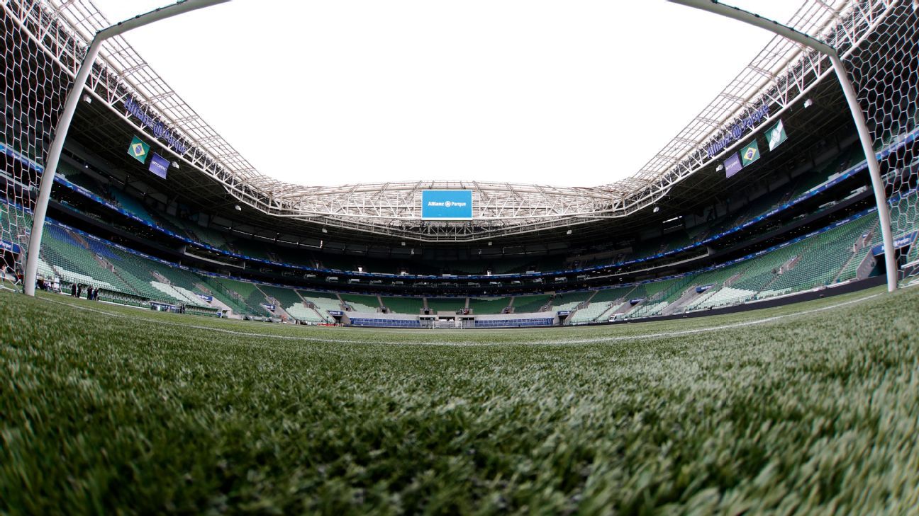 Grass Especial: Palmeiras instala grama supermoderna no Allianz Parque, praticamente natural
