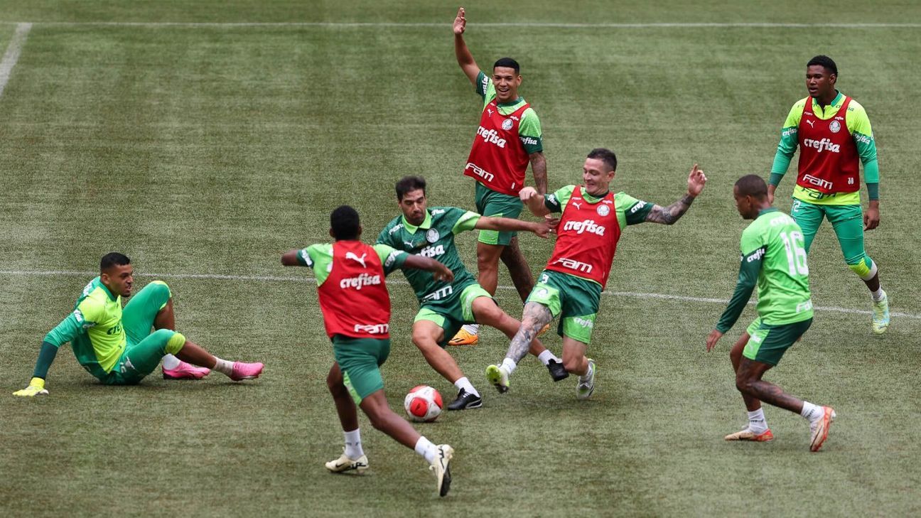 Palmeiras treina no Allianz Parque e testa novo gramado para semifinal.