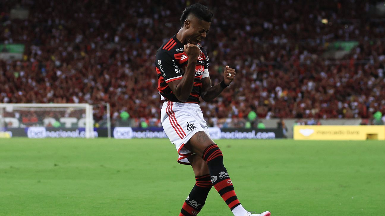 Flamengo Conquista Título e Reforça Domínio entre os Maiores Campeões Cariocas.