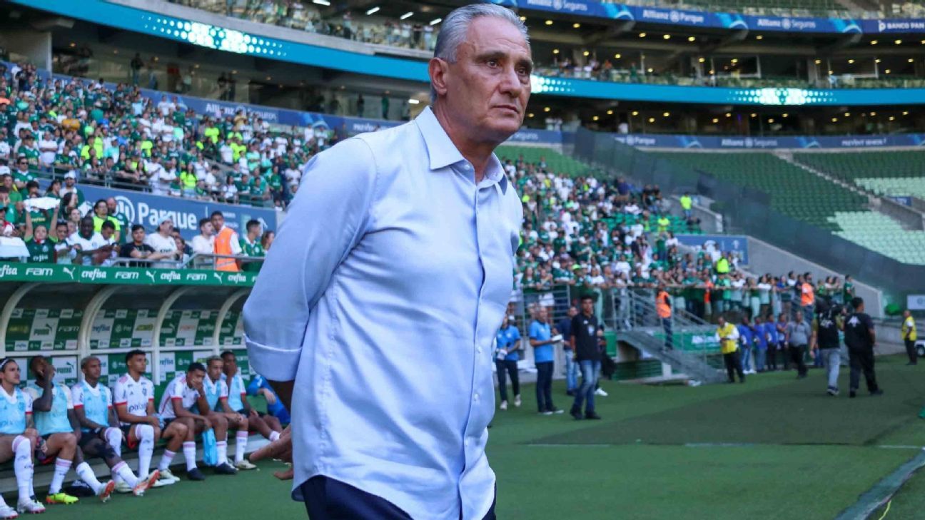 Palmeiras pede desculpas ao Flamengo por episódio durante jogo com Tite.