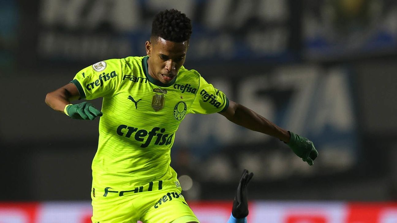 Palmeiras empata com Grêmio, porém Flamengo amplia vantagem na tabela do Brasileirão.