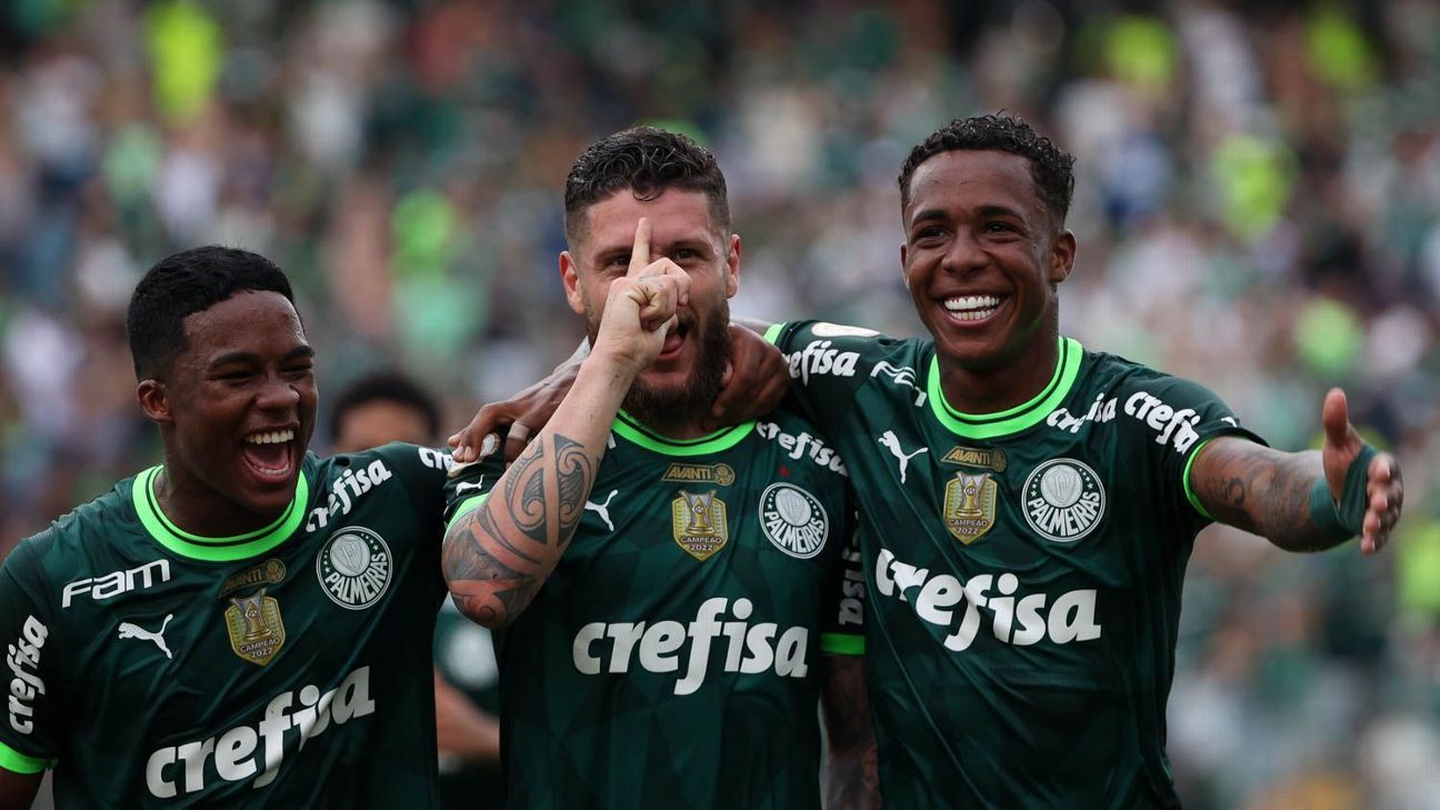 Campeão Brasileiro pelo Palmeiras sonha disputar Champions League e aproveitar momento