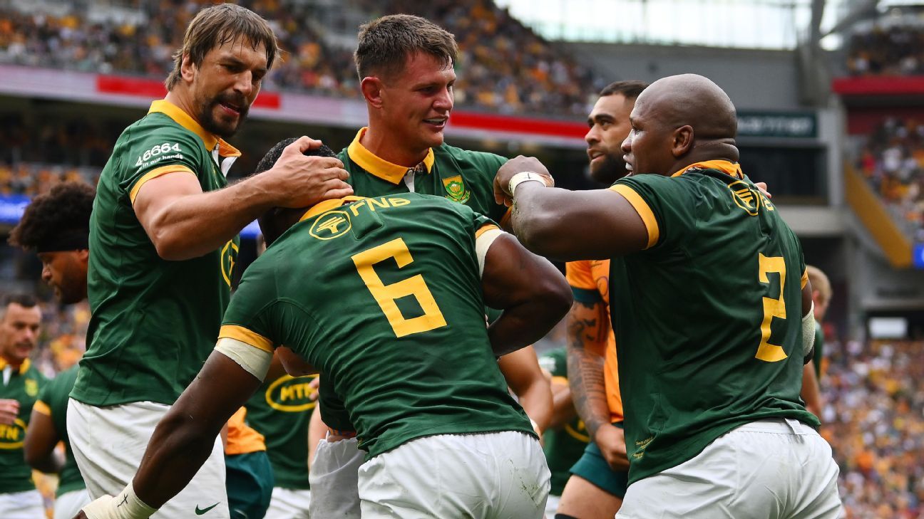 The Springboks are the reigning Rugby Championship and Rugby World Cup title holders.