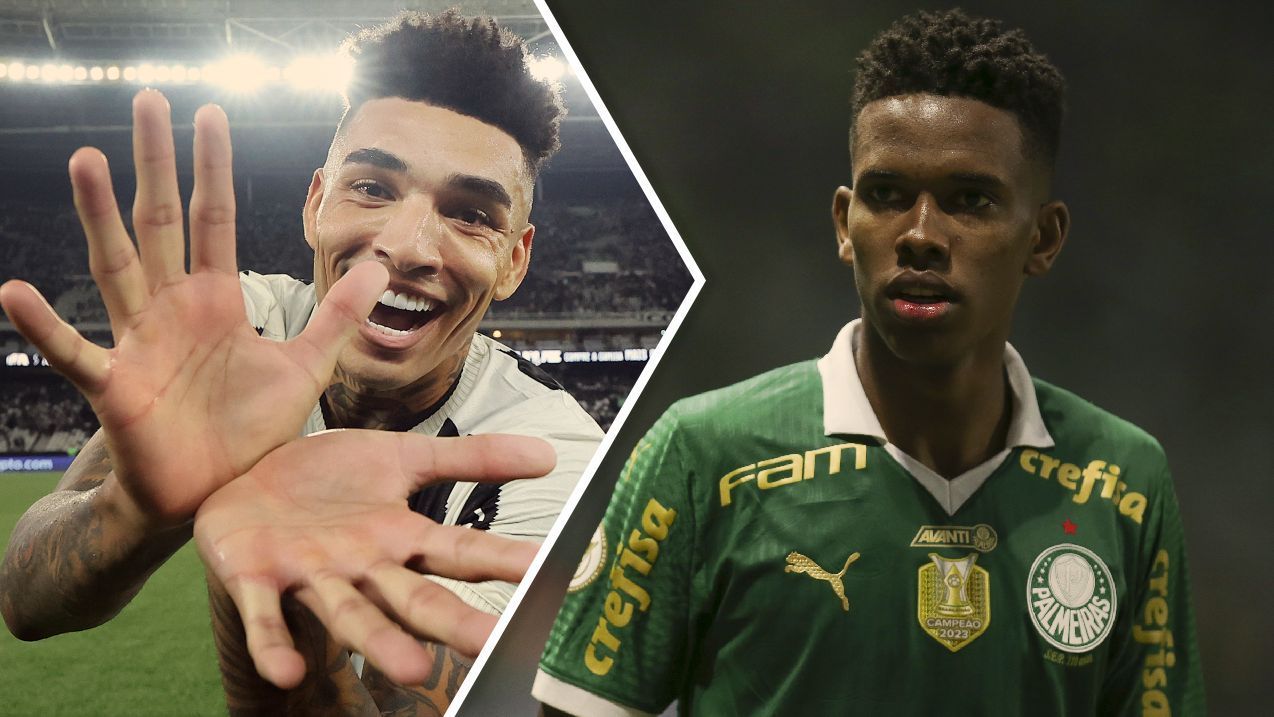 Resposta do Botafogo a Estêvão na decisão contra o Palmeiras: até papagaio fala