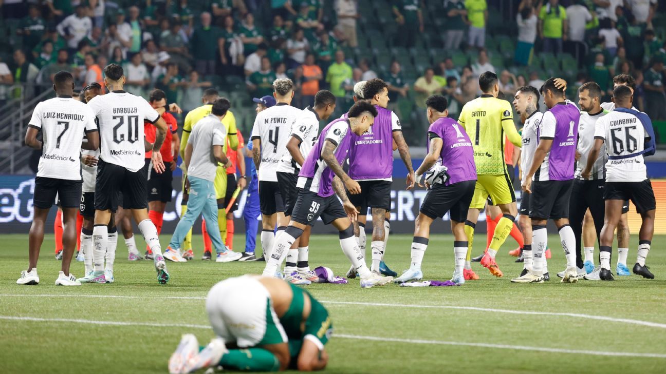 Palmeiras and an unbelievable elimination: they overcame a 0-2 deficit, the VAR frustrated them and Botafogo qualified for the Libertadores quarterfinals