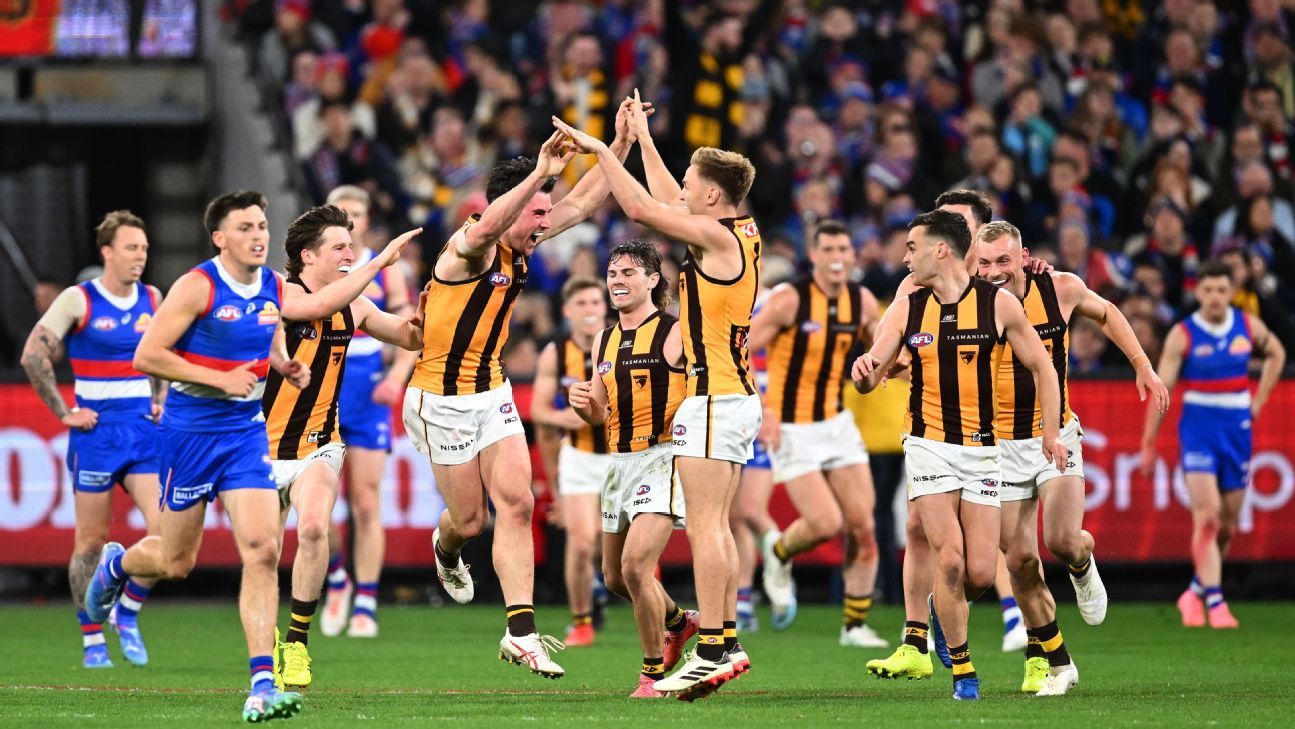 AFL final: Hawks beat Bulldogs in AFL elimination final