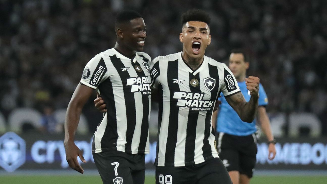 Todo el ataque de Botafogo fue convocado para la próxima doble fecha de Eliminatorias - ESPN