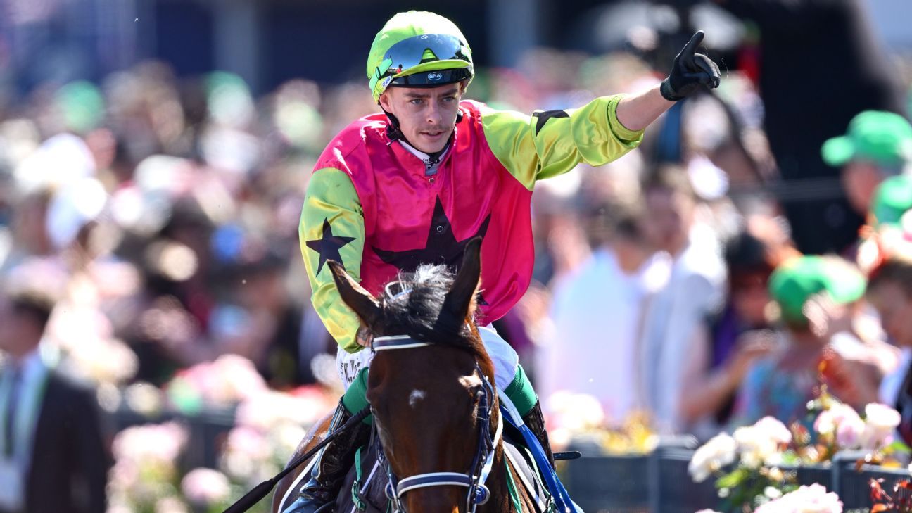 Knight's Choice salutes in Melbourne Cup boilover