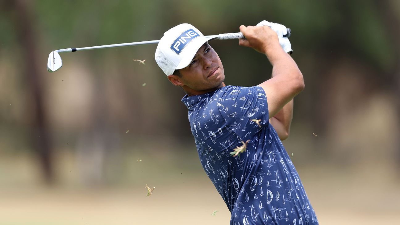 Johannes Veerman wins Nedbank title after Potgieter bogeys 18th