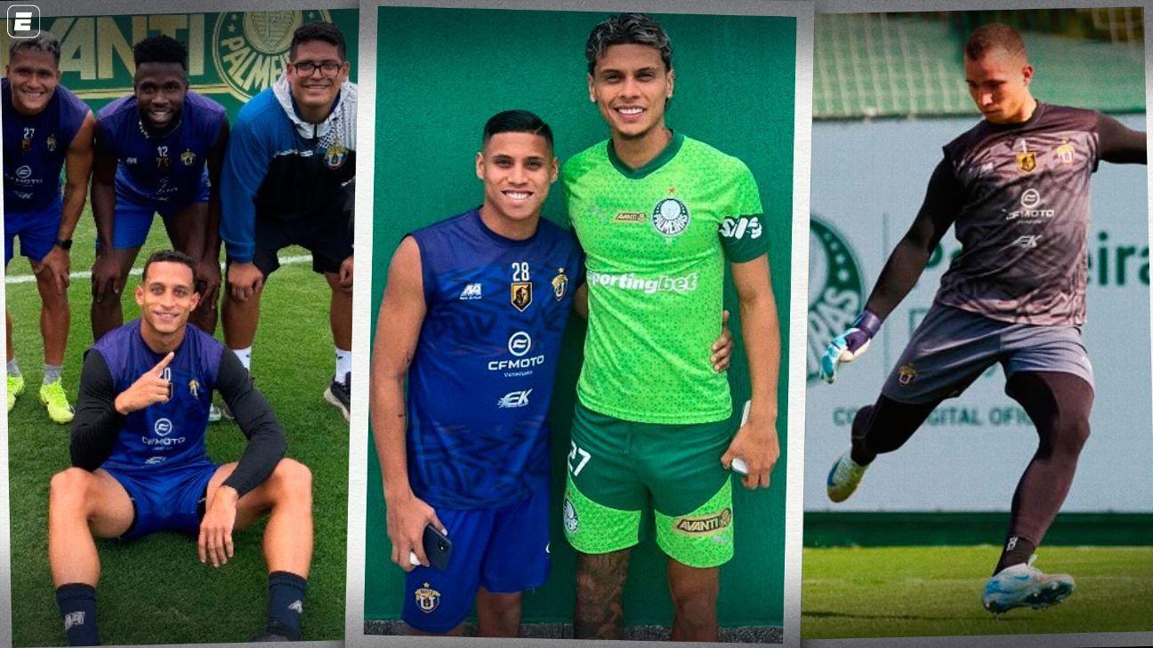 Palmeiras Encanta Adversário do Corinthians em Duelo de Libertadores: Qualidade no Primeiro Nível