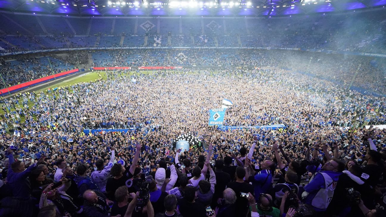 Hamburg fans seriously injured in promotion party