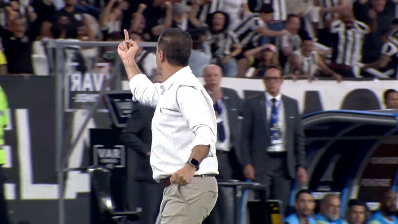 Renato Paiva explica gesto obsceno em vitória do Botafogo: 'Só se eu fosse muito estúpido'